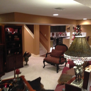 Finished Lower Level / Basement
