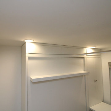 Custom Siena Modern Murphy Wall Bed with Hidden Desk in Side Cabinet