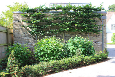 Photo of a contemporary garden in Dorset.
