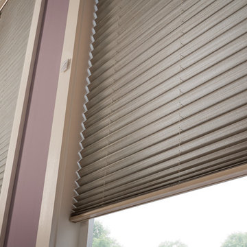 Blinds & Shades