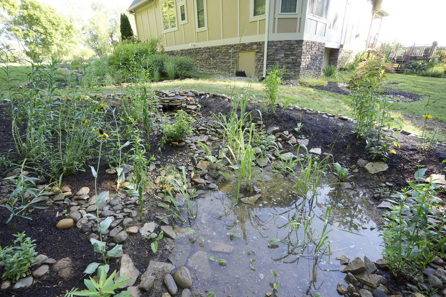 French Broad Rain Garden