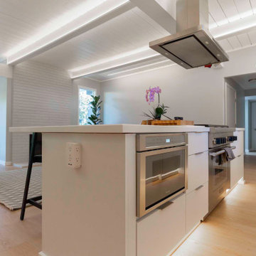 Open-concept Full Kitchen Remodeling