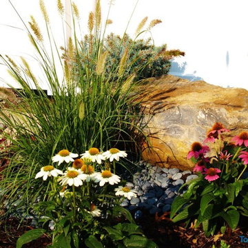 Lush Landscapes