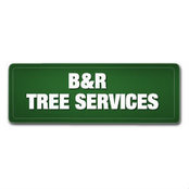 B & R Tree Services's photo