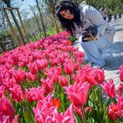 Mary Avedissian's photo