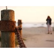 Jane Wagner's photo