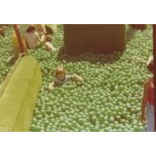 Michael McCarthy's photo