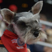 William Roach's photo