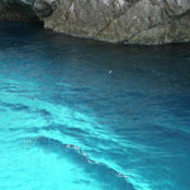 Betsy Angerman's photo