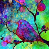 Deb Willard's photo