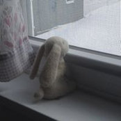 Karen Bailey's photo