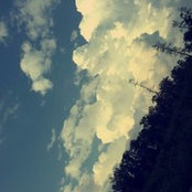 Larisa Tamaș's photo