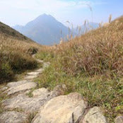 Peter Grigorakakis's photo