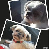 Foto von Chris Priess Weber
