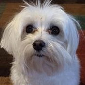 Mindy Simmons's photo