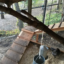 Chicken Coop - Sheds