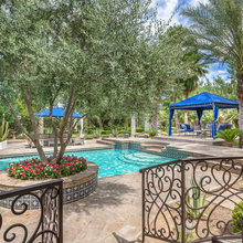 Pool/Yard