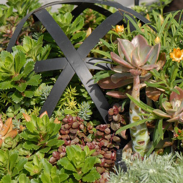 Henderson Outdoor Kitchen