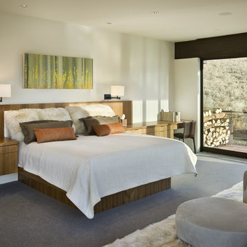 Contemporary Home in Sun Valley