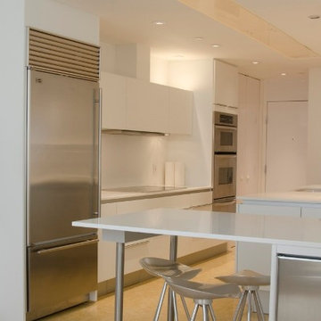 Galleria, high-rise Poggenpohl kitchen renovation in the Four Leaf Towers