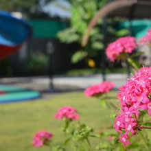 Frontyard