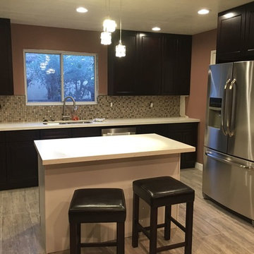 Dark cabinet Kitchen Remodel