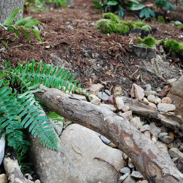 Asian Inspired Woodland Garden