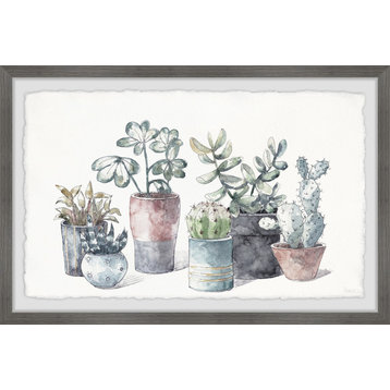 "Succulent, Display Planters" Framed Painting Print