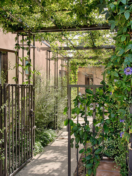 Ivy Lattice Houzz