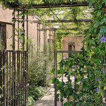 side yard