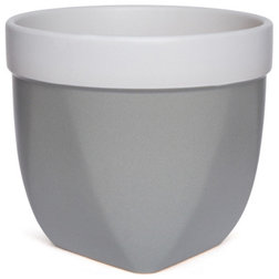 Contemporary Indoor Pots And Planters by HG Global