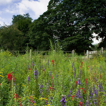 A Sustainable Homestead