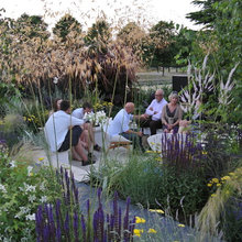 Garden ideas