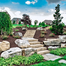 Landscaping Yard