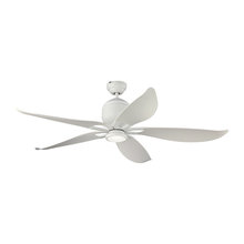 Ceiling Fans
