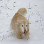 Cara Siebert's photo