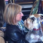 Stacy Rosenberg's photo