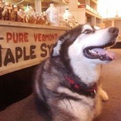 Pownal View Barn's photo