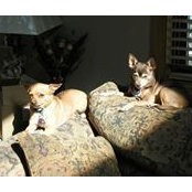 Sherri Roberts's photo