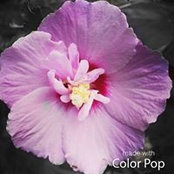 Jennifer Sahady's photo