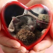Eva Skora's photo