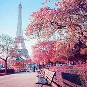 Photo de Aya Mohammad