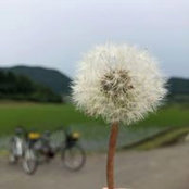 Foto von Suet Yee