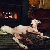 Erik Thibeault's photo