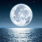 Mohammed Elkassif's photo