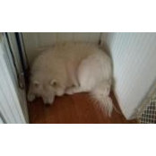 Florrie Stoffel's photo