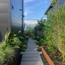side yard