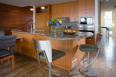 Home design - contemporary home design idea in Minneapolis
