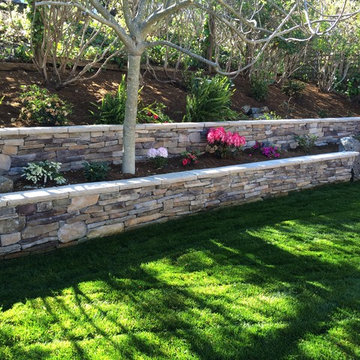 Tropical/ Deer Resistant Garden
