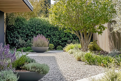 Photo of a contemporary front yard landscaping.